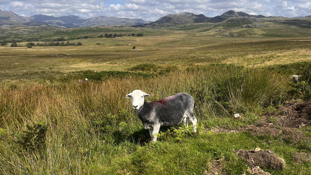 Lake District