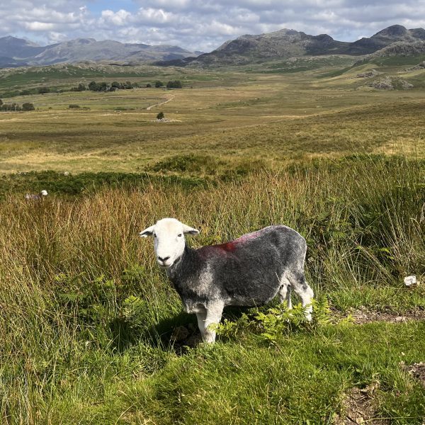 Lake District