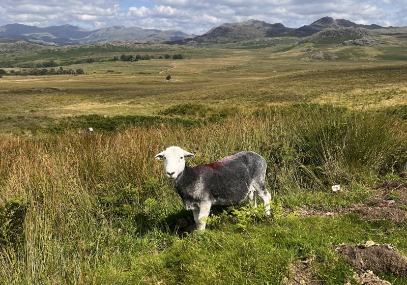 Lake District
