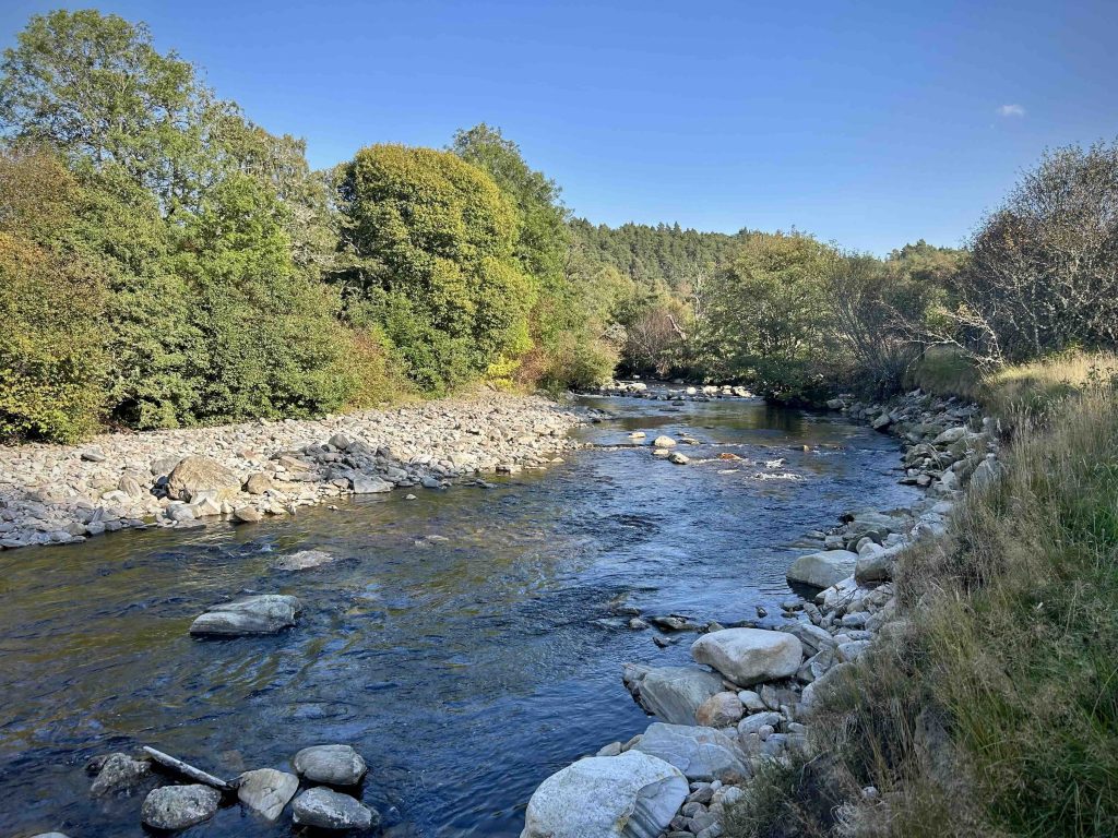 Unique places to stay in Aviemore, such as glamping pods and secluded cabins.